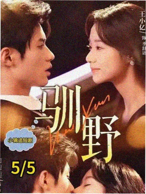被奖项忽略的年度佳作
